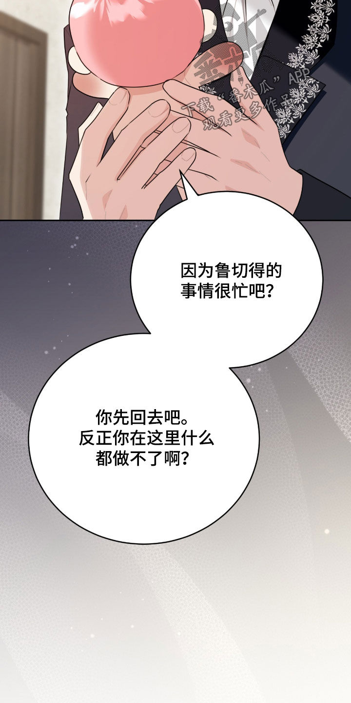 疯批大公的玩偶结局解析漫画,第92章：是谁1图