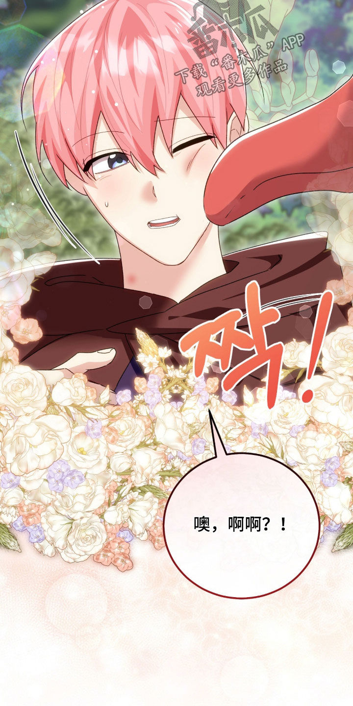 疯批大公的玩偶叫什么名字漫画,第90章：巨龙5图