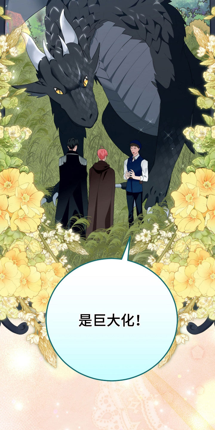 疯批大公的玩偶叫什么名字漫画,第90章：巨龙4图