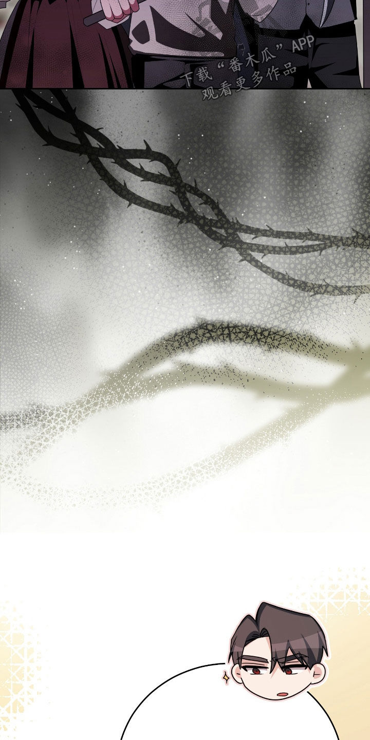 疯批大公的玩偶结局解析漫画,第88章：逃跑1图