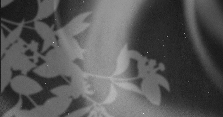 《疯批大公的玩偶》的作者是谁漫画,第85章：未经允许去散步5图