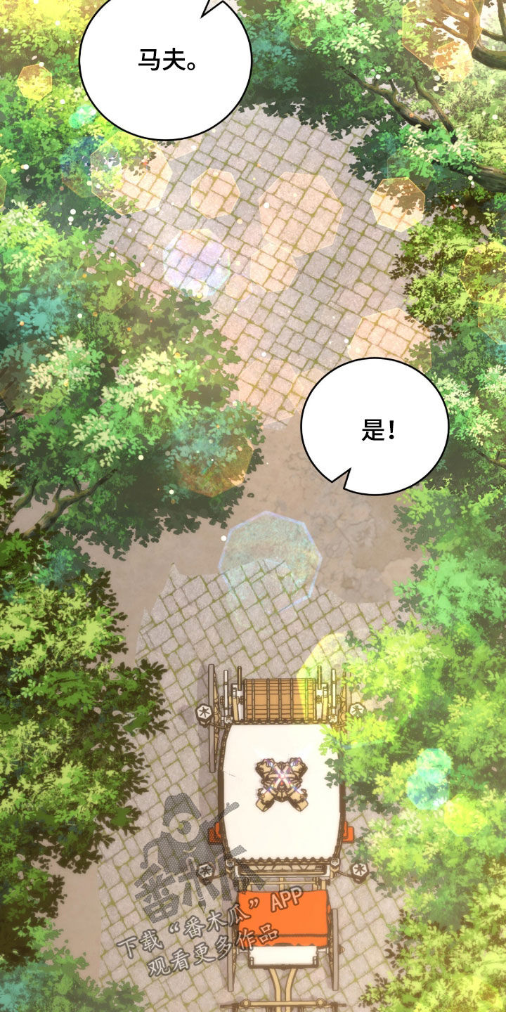 疯批大公的玩偶结局解析漫画,第92章：是谁1图