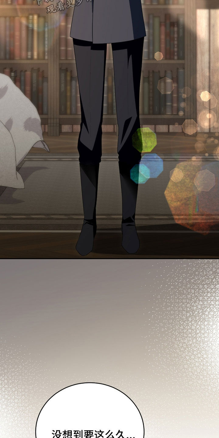 疯批大公的玩偶结局解析漫画,第92章：是谁2图