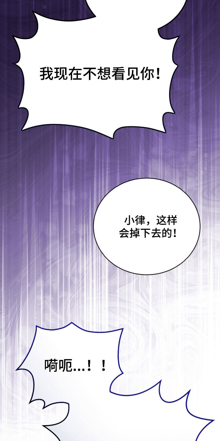 疯批大公的玩偶叫什么名字漫画,第91章：不想看见你3图