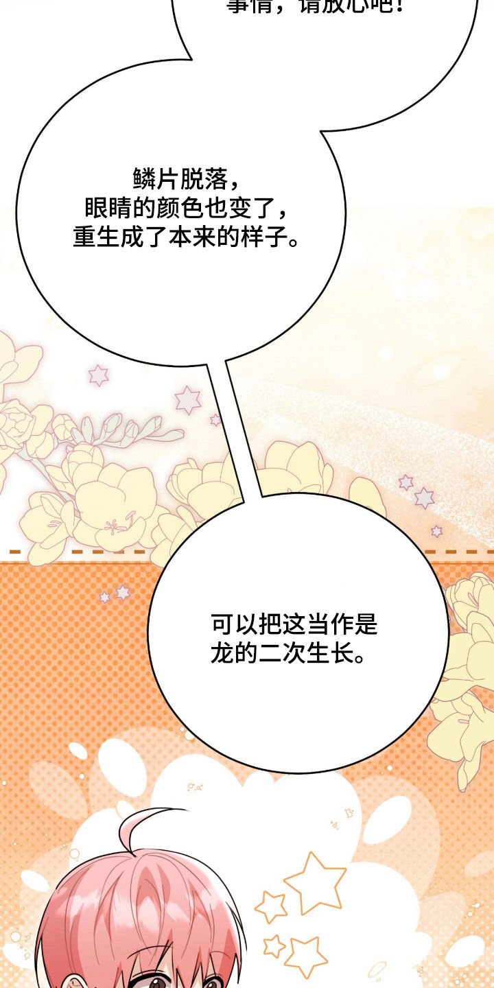 《疯批大公的玩偶》作者漫画,第90章：巨龙2图