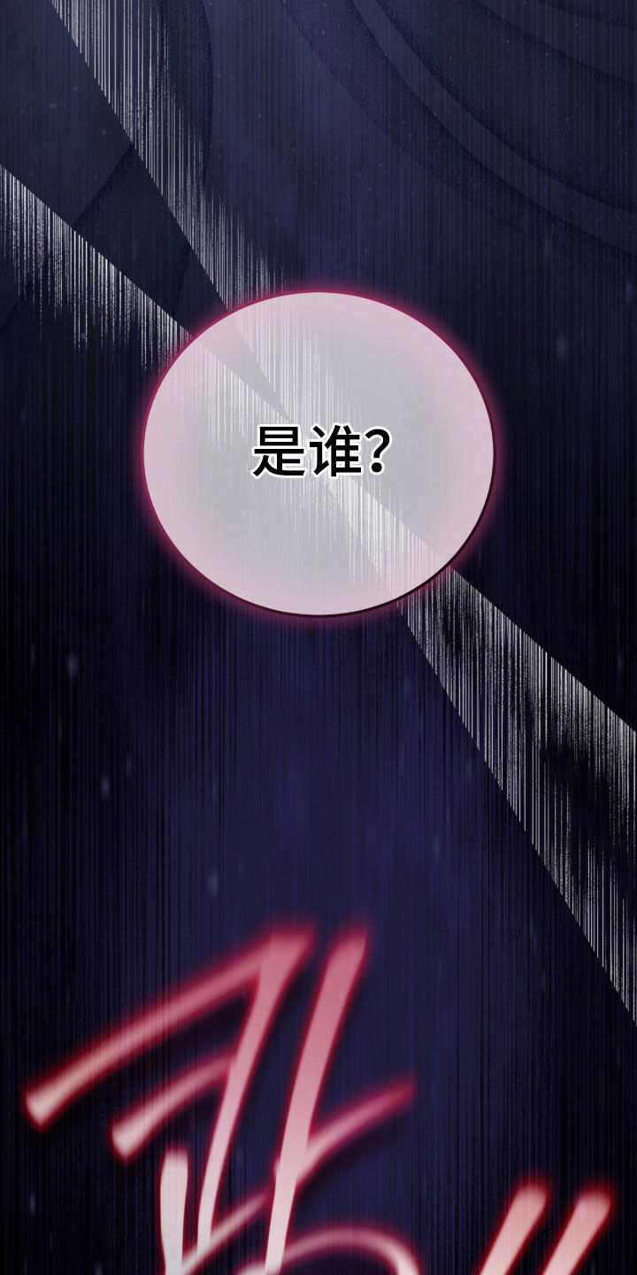 疯批大公的玩偶结局解析漫画,第92章：是谁1图