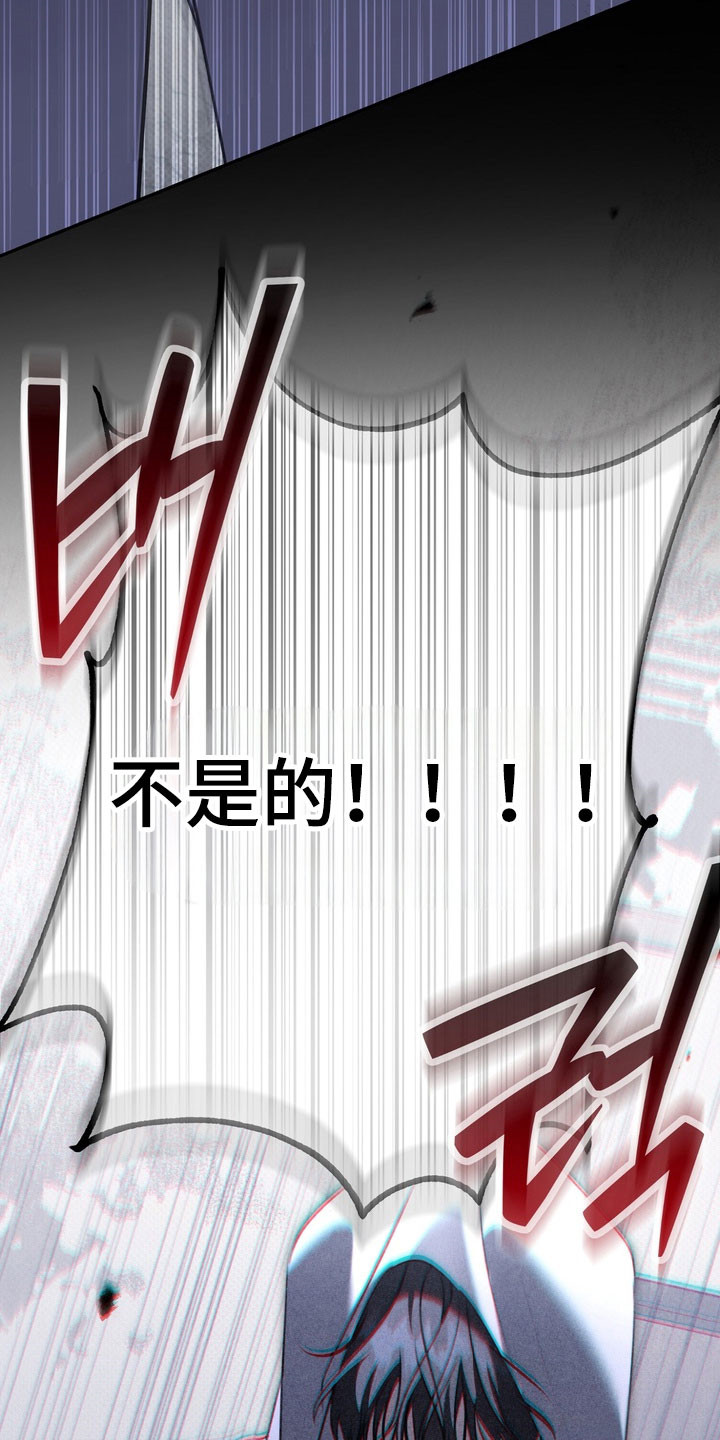 第76章：正面攻击1