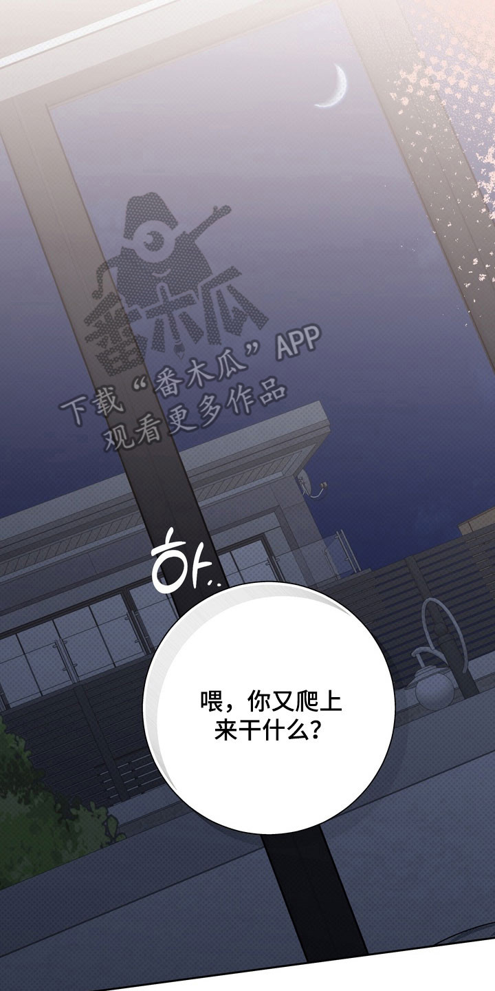 忧郁的loil漫画,第71章：逐渐侵占5图