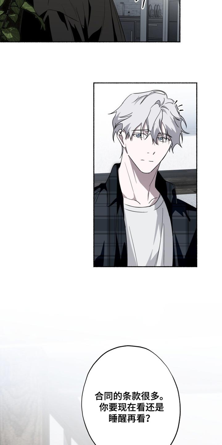 心跳共鸣漫画,第41章：现在看2图