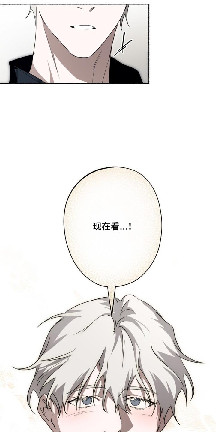 心跳共鸣漫画,第41章：现在看4图