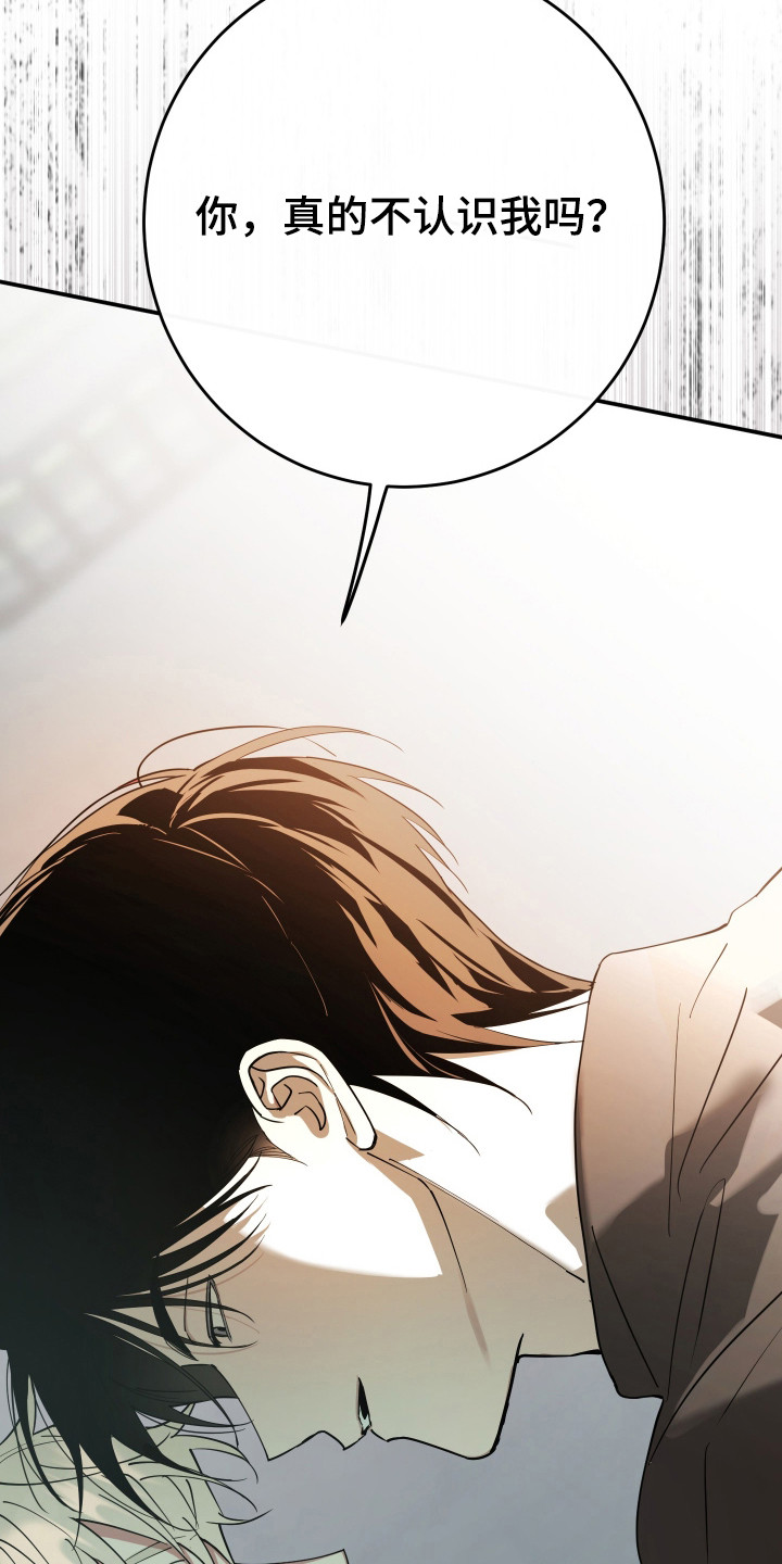 在我掌控中漫画,第16章：模糊的记忆1图