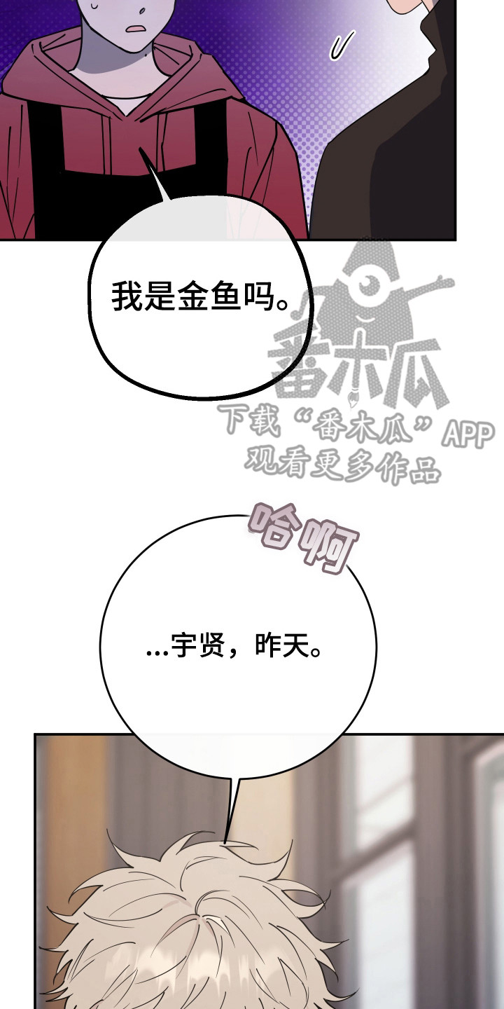在我入睡前漫画,第15章：传闻5图