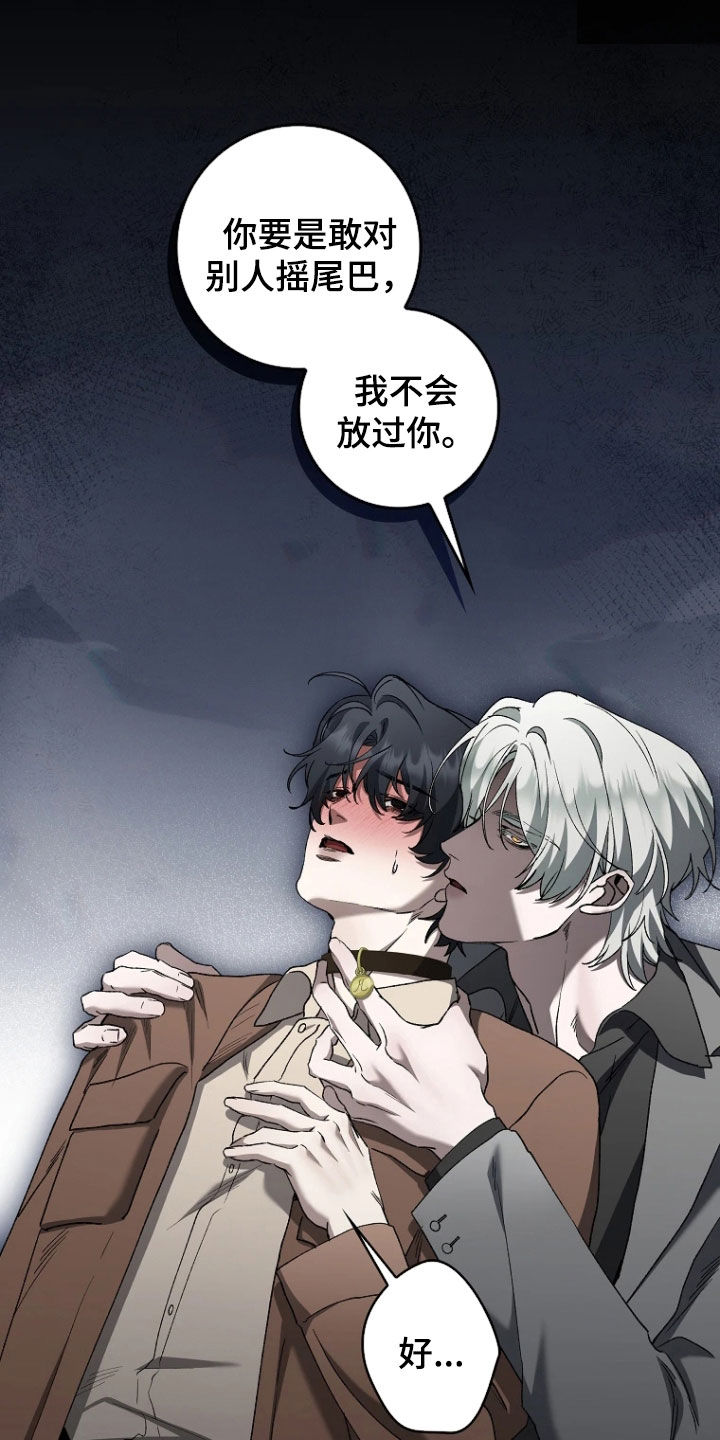 地狱中的爱韩漫漫画无删减版漫画,第31章：宠物1图
