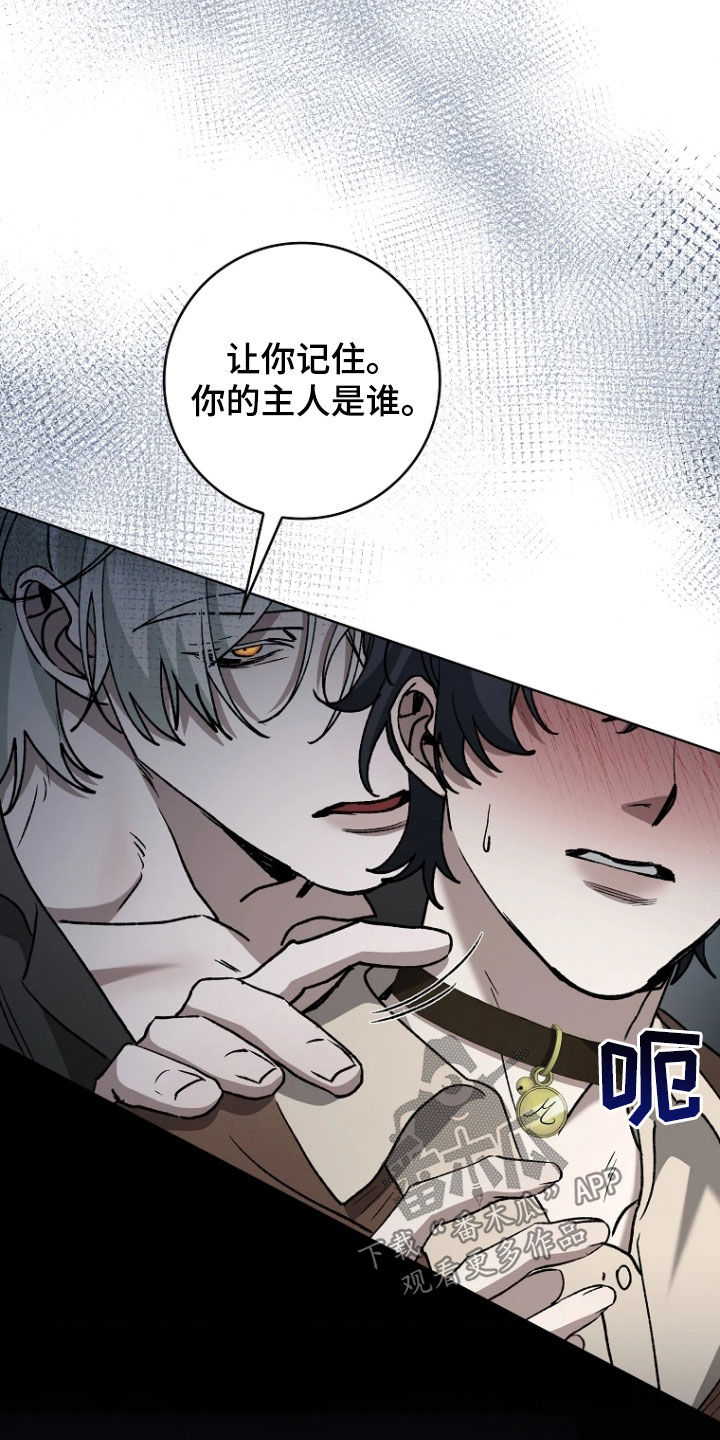 地狱中的爱韩漫漫画无删减版漫画,第31章：宠物5图