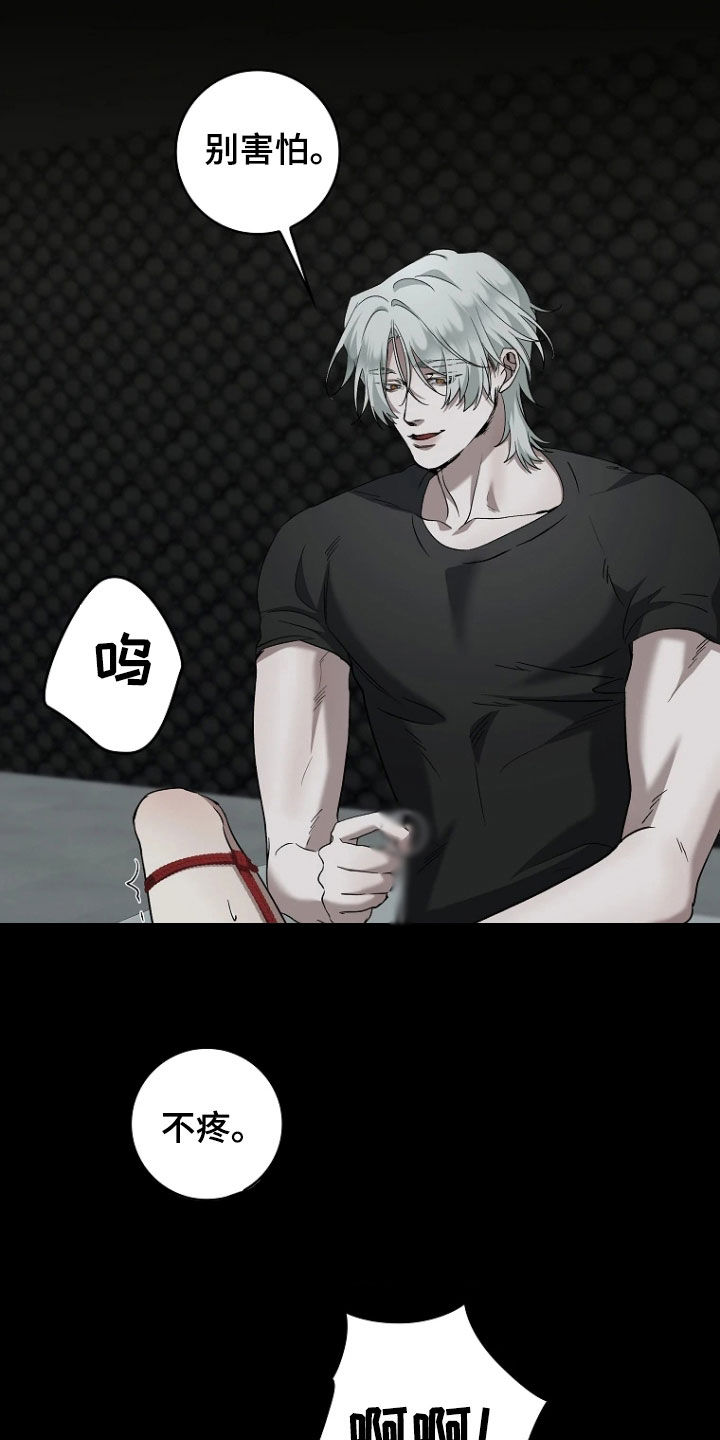 地狱中的爱漫画,第27章：影子4图