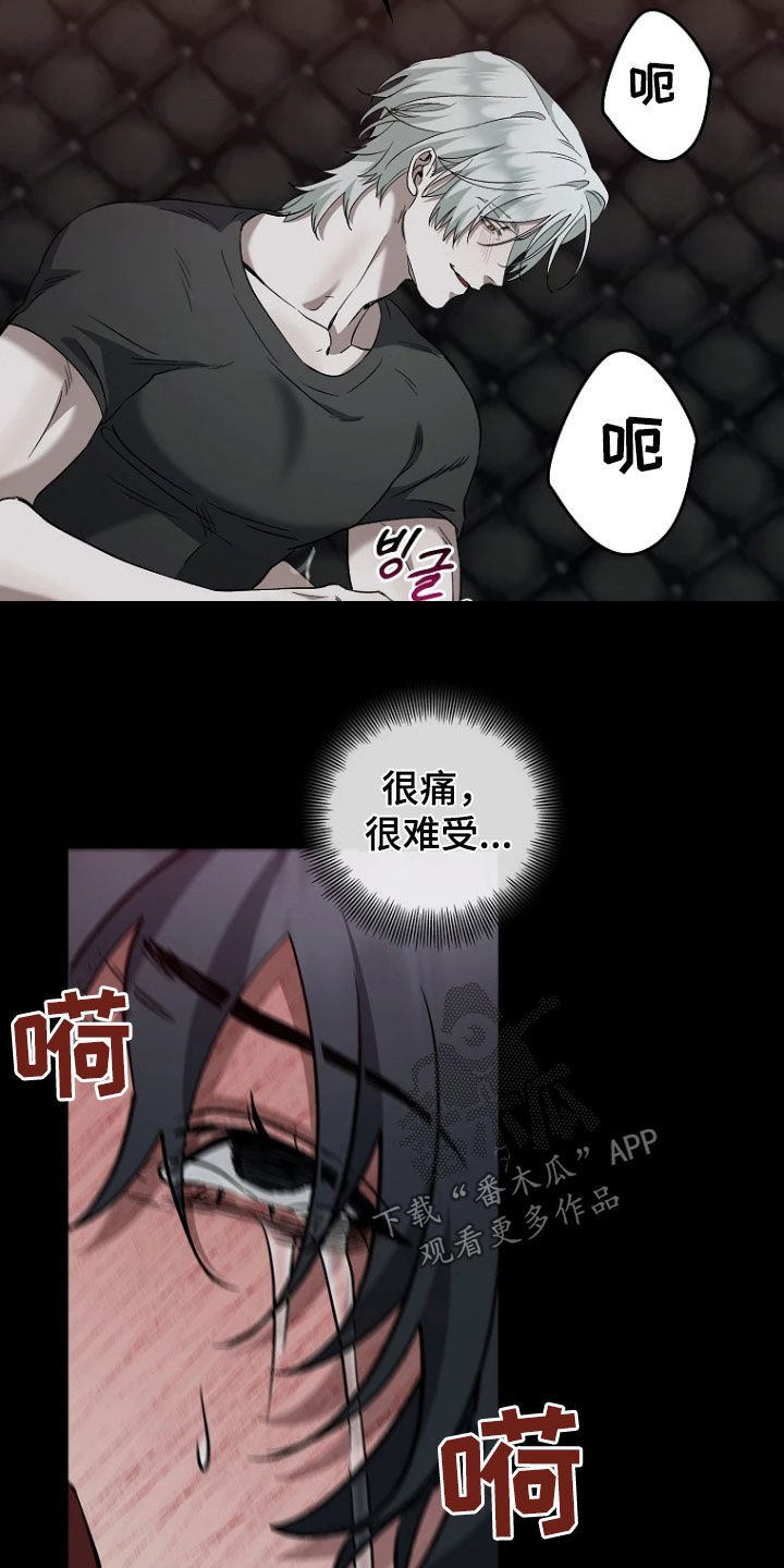 地狱中的爱漫画,第27章：影子3图