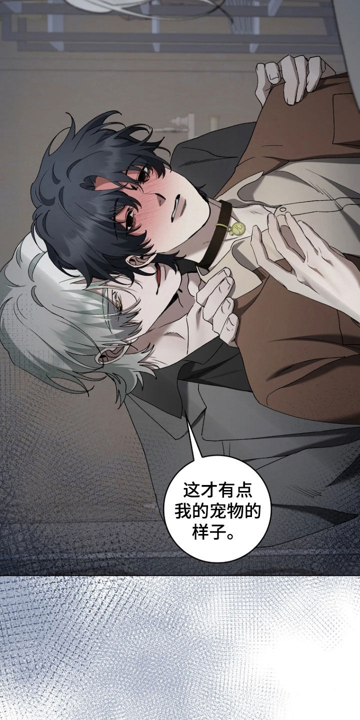 地狱中的爱韩漫漫画无删减版漫画,第31章：宠物4图