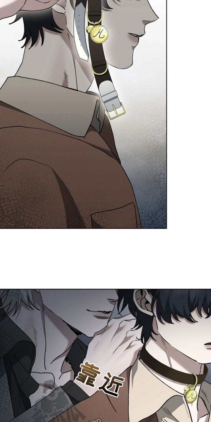 地狱中的爱韩漫漫画无删减版漫画,第31章：宠物2图