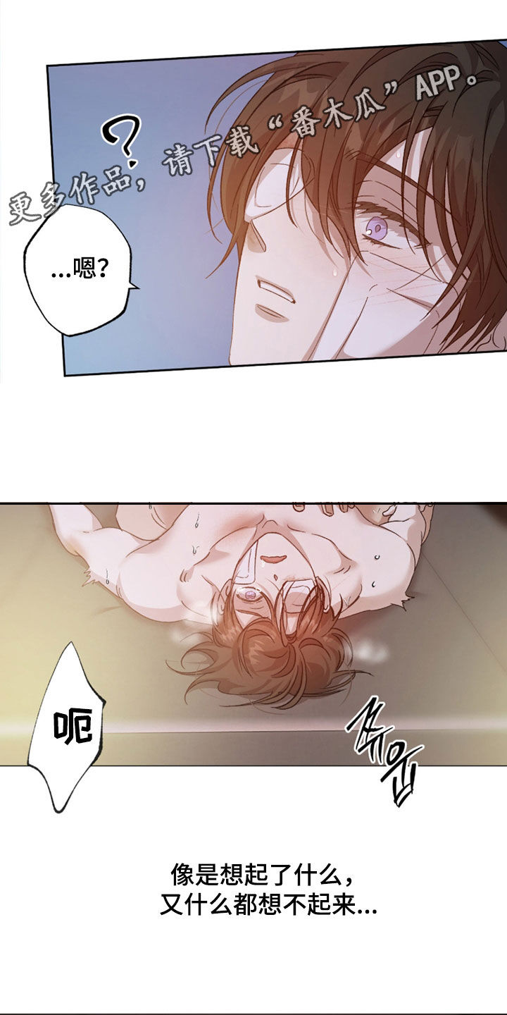 第33章：我年纪比你大0