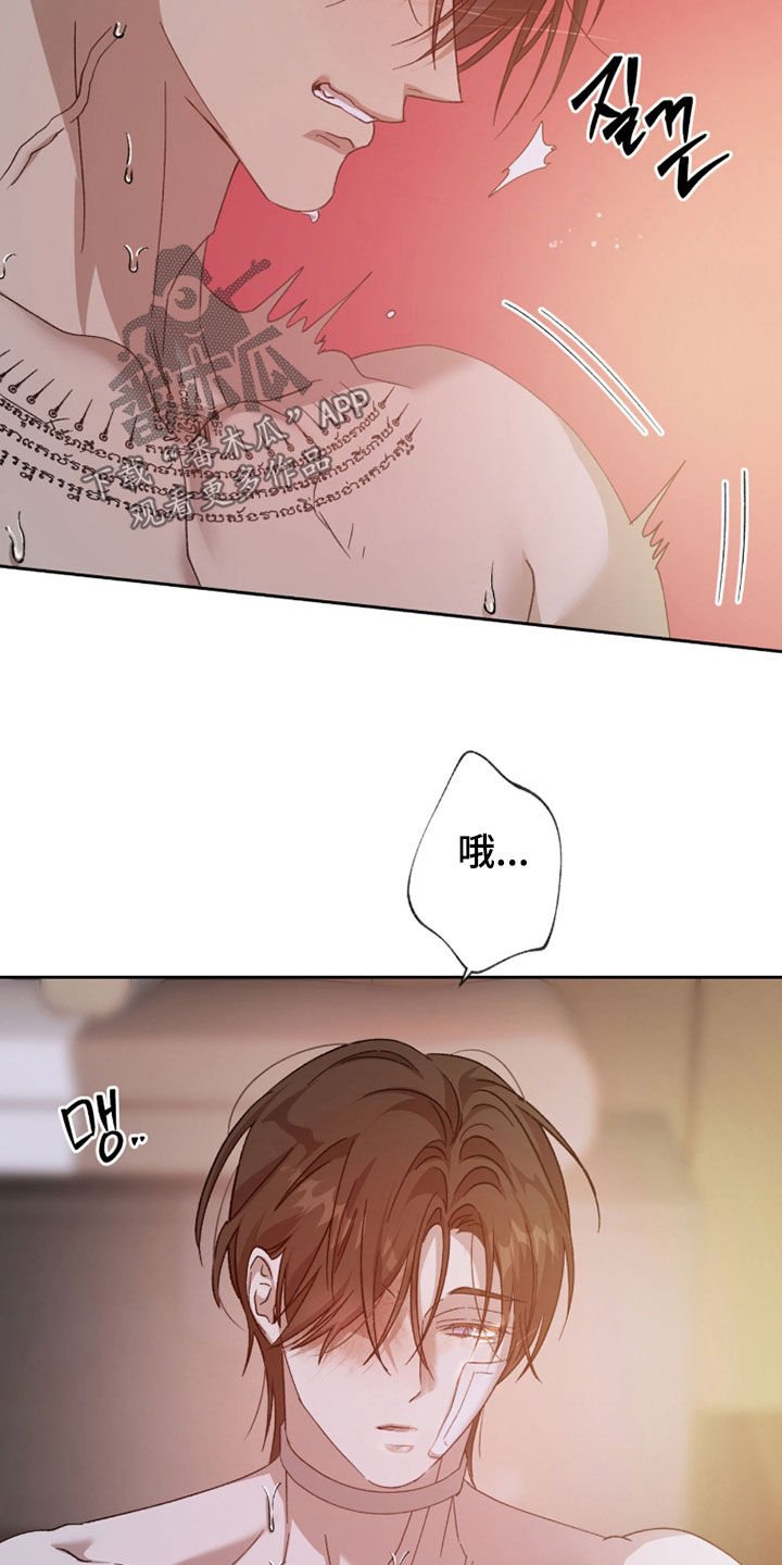 第33章：我年纪比你大1