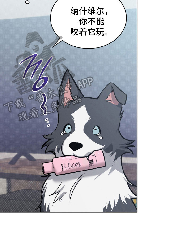 无名吧只能顺其自然了漫画,第76章：打击的梦1图