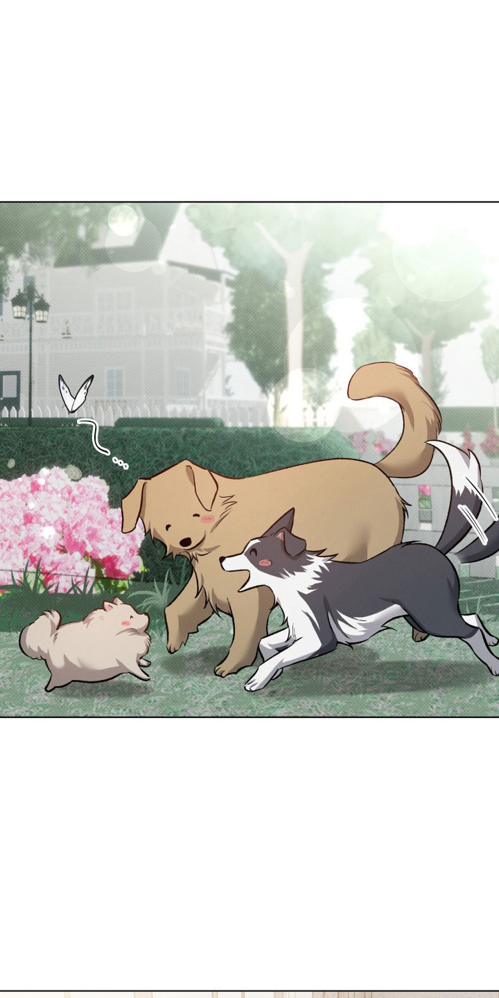 无名救赎漫画别名漫画,第78章：不想他受伤1图