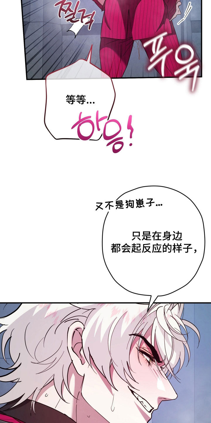 无间搭档漫画在哪找漫画,第27章：伤痕5图