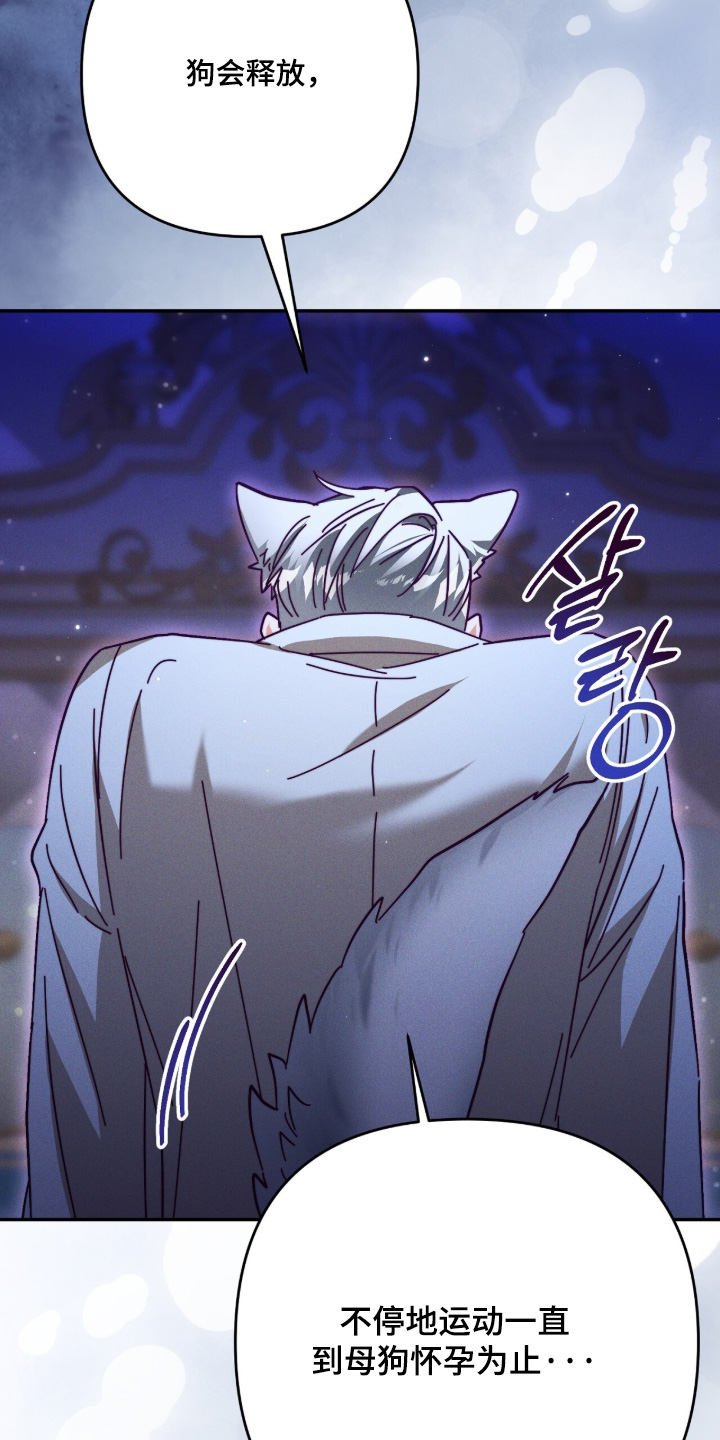 悔婚之夜漫画,第29章：我是狼人3图