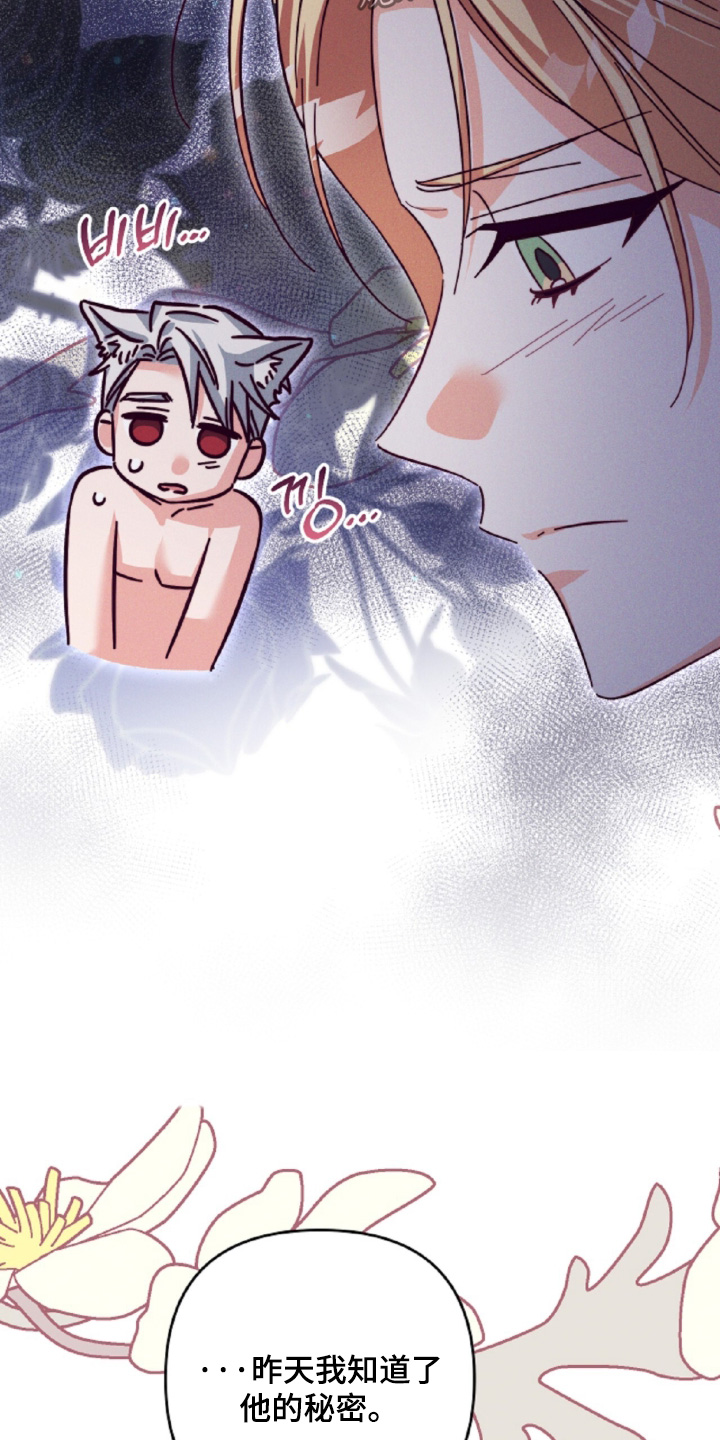 悔婚之夜漫画,第34章：这是梦嘛5图