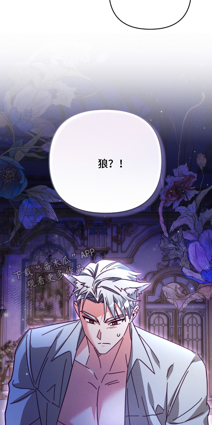 悔婚之夜漫画,第29章：我是狼人5图