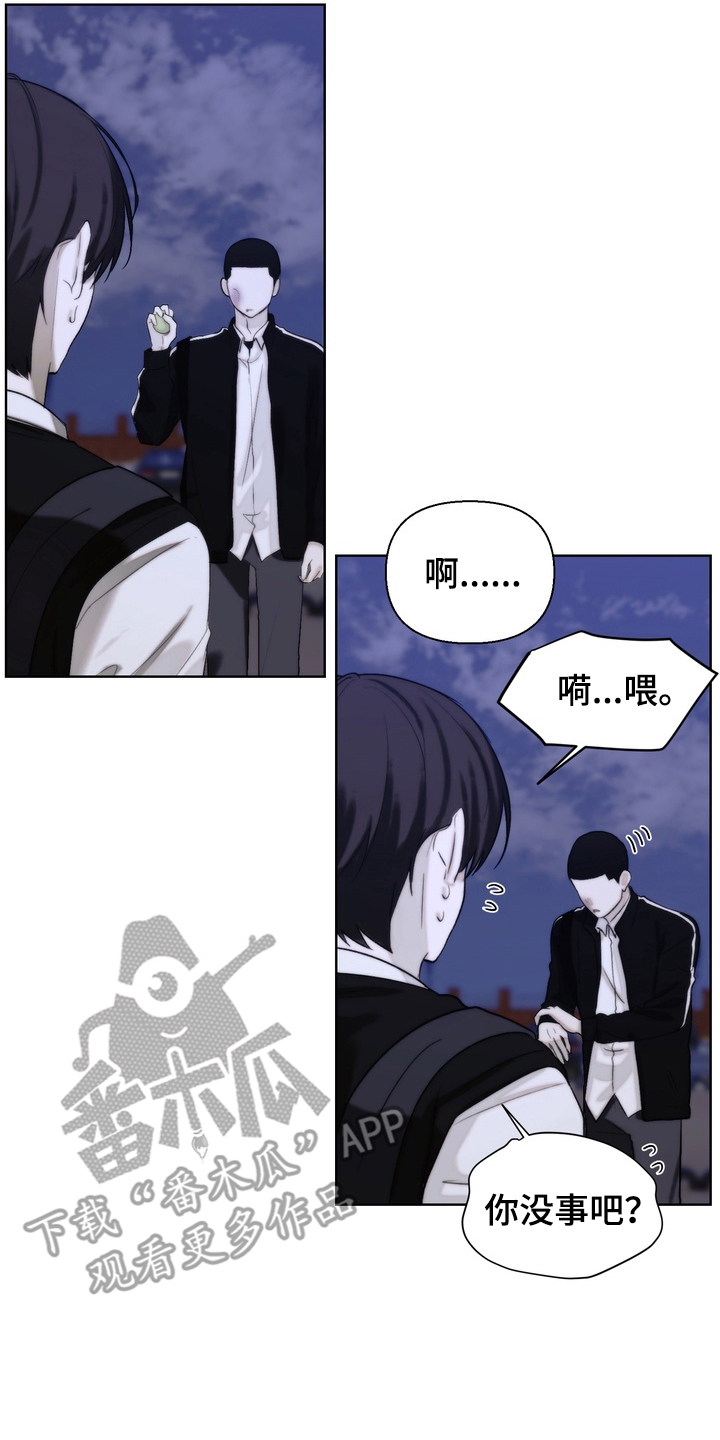 不良少年饲养手册免费阅读全文漫画,第16章：没事吧3图