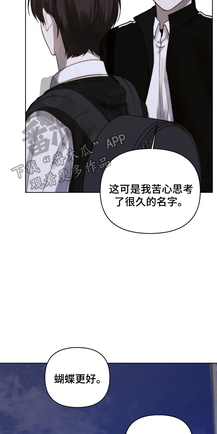 不良少年饲养手册免费阅读全文漫画,第15章：运动2图