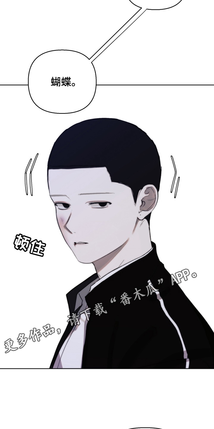 不良少年饲养手册免费阅读全文漫画,第15章：运动3图