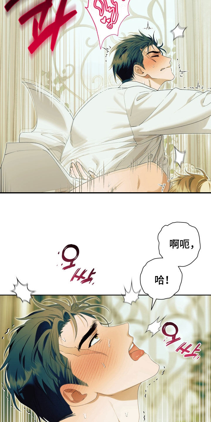 第17章：希望你能幸福3