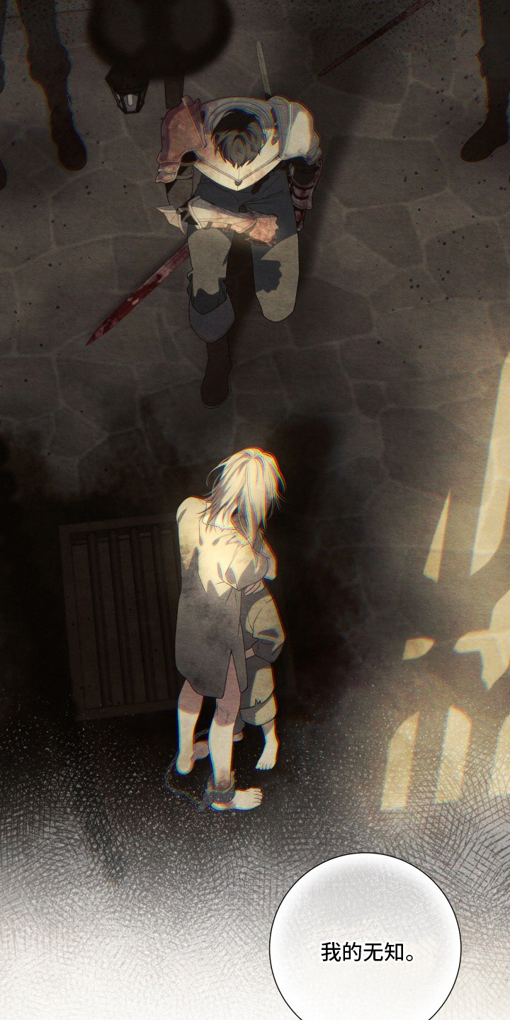 神堕八岐大蛇q版漫画,第1章：骑士2图