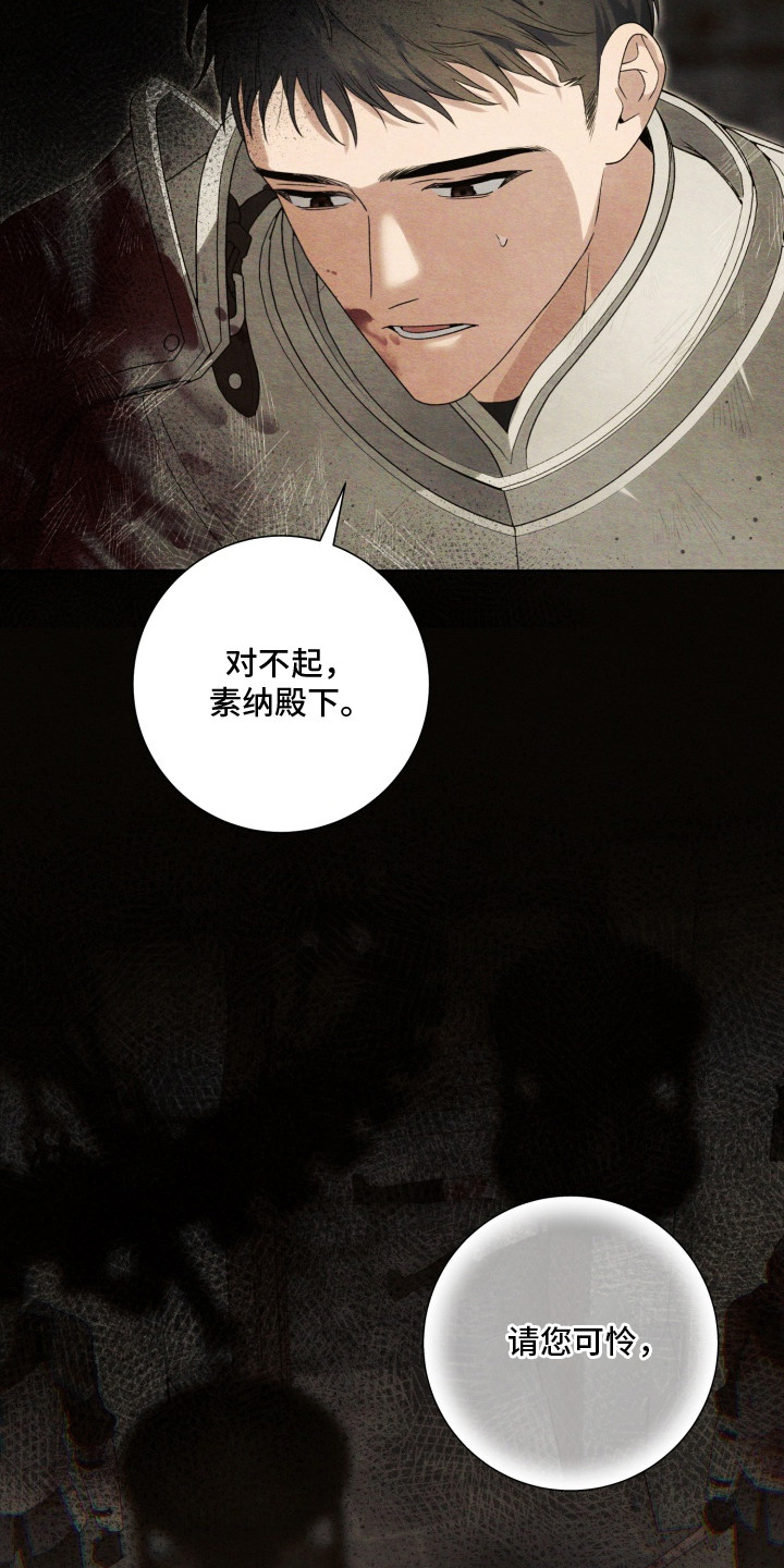 神堕八岐大蛇q版漫画,第1章：骑士1图