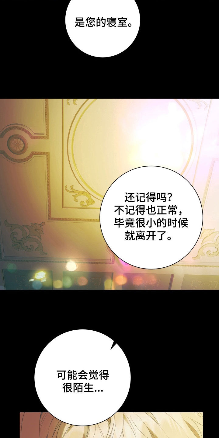 第18章：由我来承担3