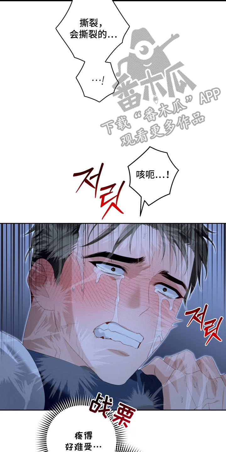 第13章：失去意识1