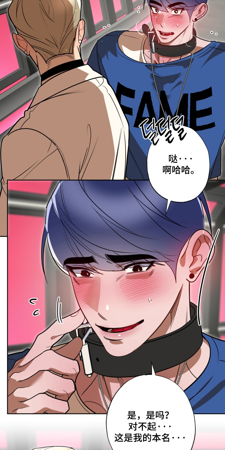 偶像竞技场漫画更新了吗漫画,第14章：希望你看下4图