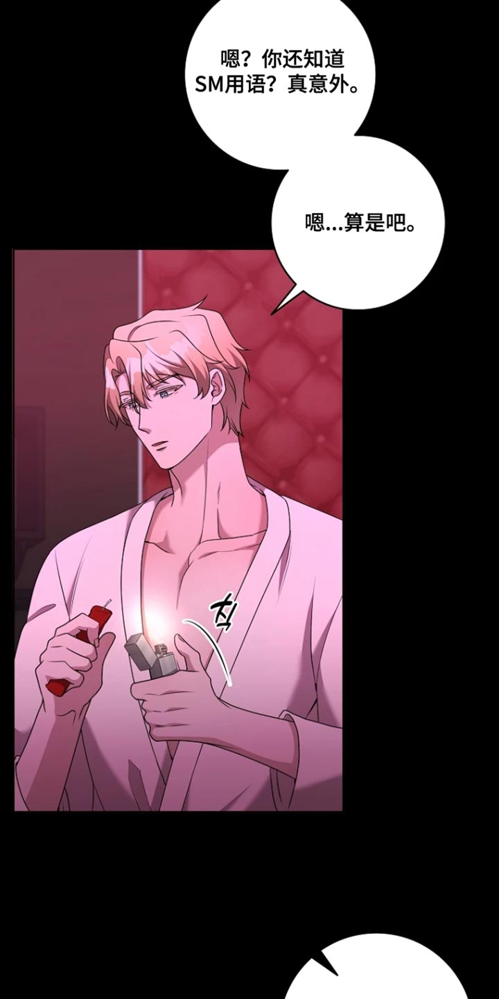 第29章：最喜欢的玩具3