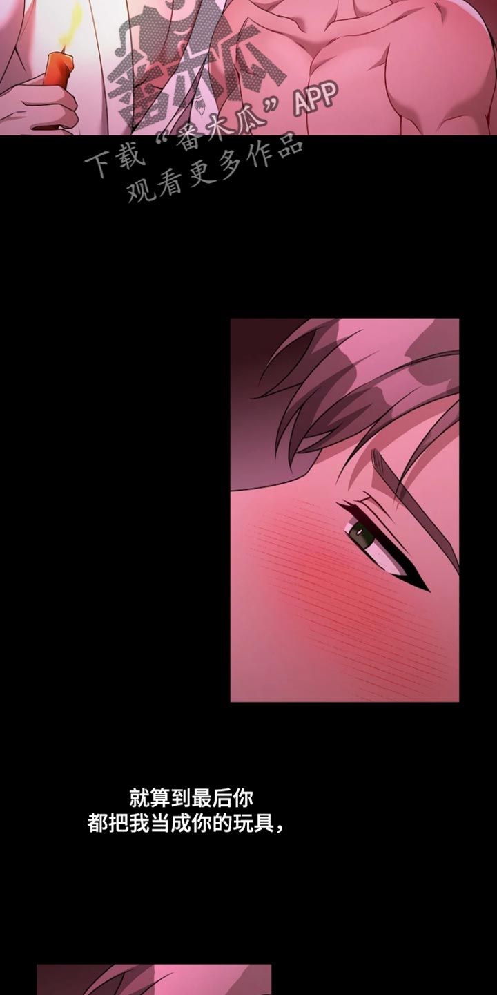 第29章：最喜欢的玩具2