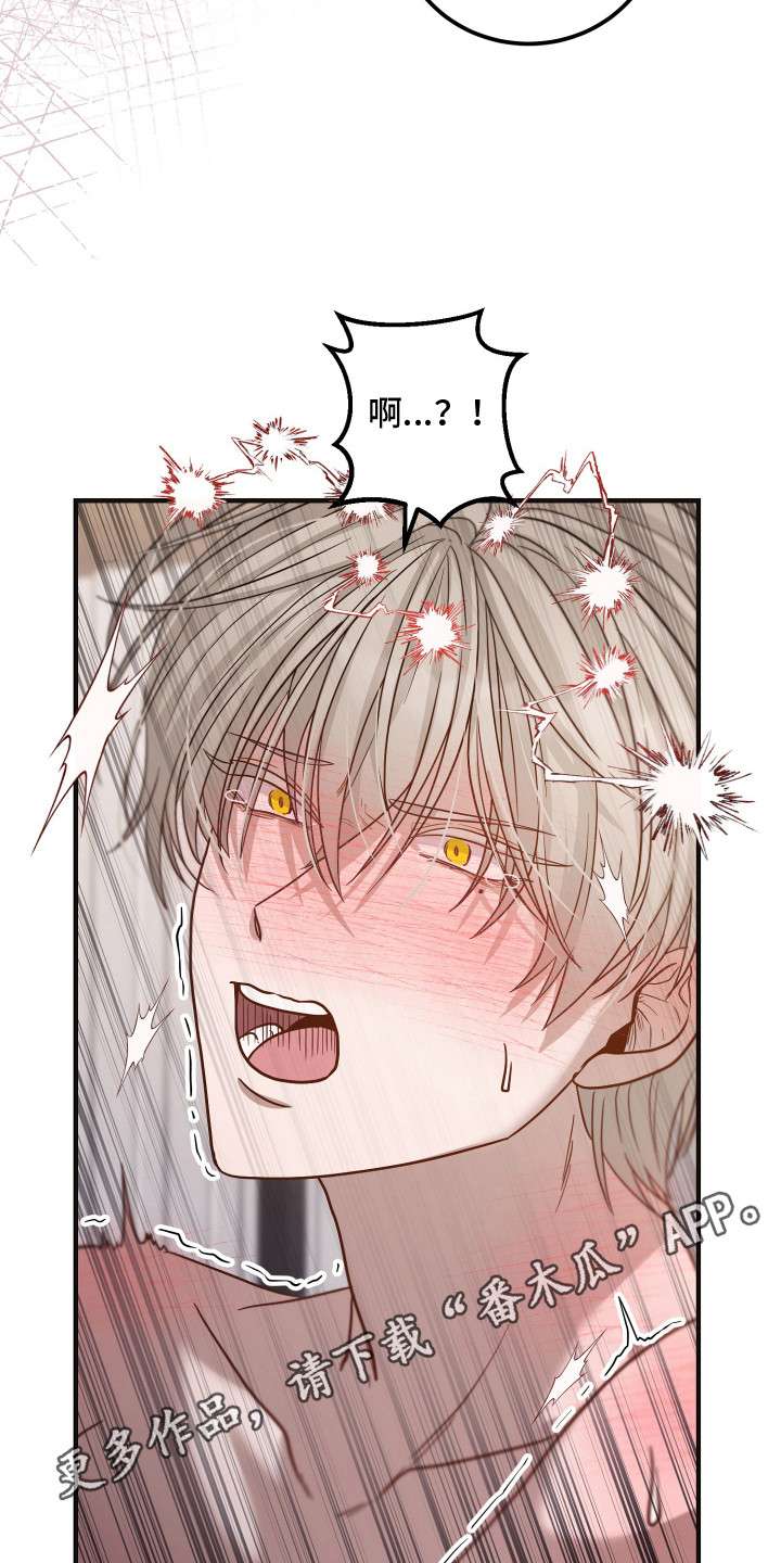 新鲜黄精价格多少钱一斤漫画,第11章：撒气对象1图