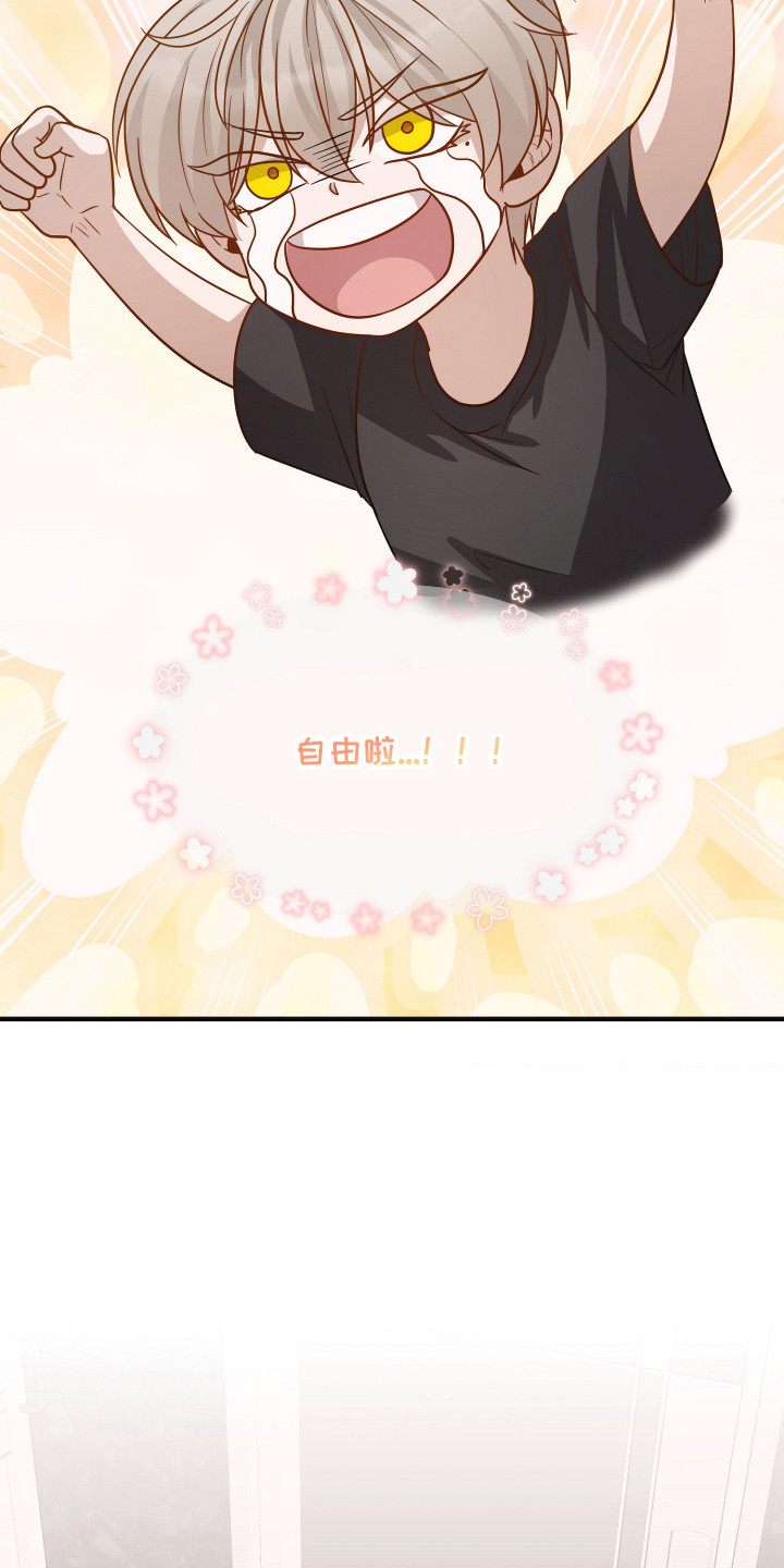 新鲜黄鸡油切丁的标准尺寸漫画,第14章：以退为进2图