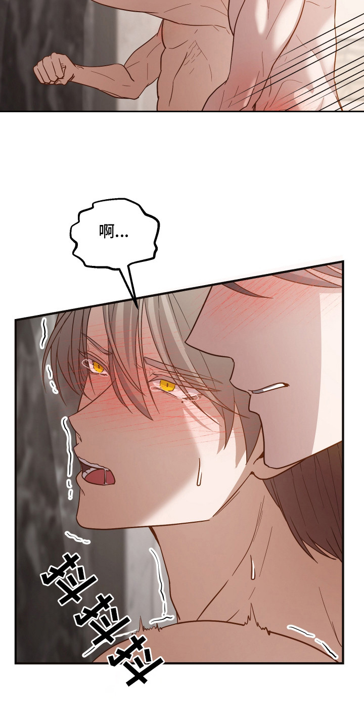 新鲜黄花菜的做法大全家常做法漫画,第11章：撒气对象1图