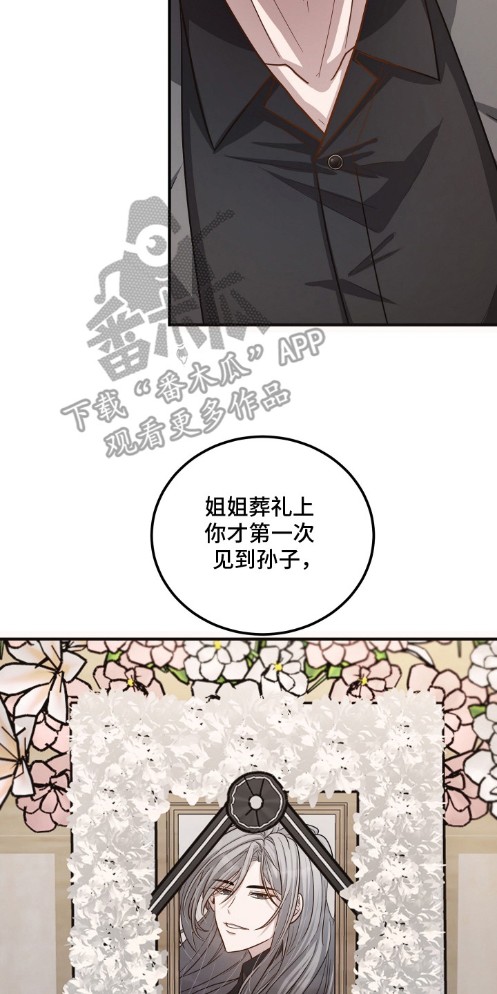 心陷谎言国漫推荐漫画,第12章：家族争斗3图