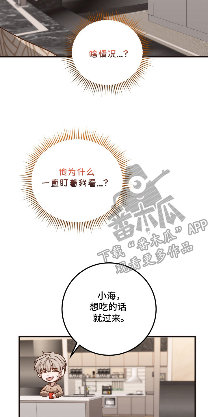 心陷谎言韩漫介绍漫画,第22章：盯着看5图