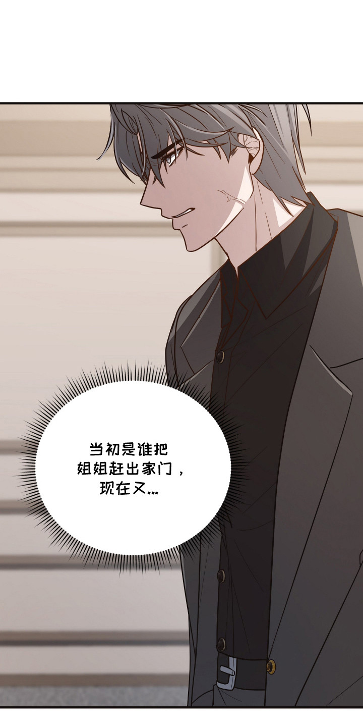 心陷谎言国漫推荐漫画,第12章：家族争斗4图