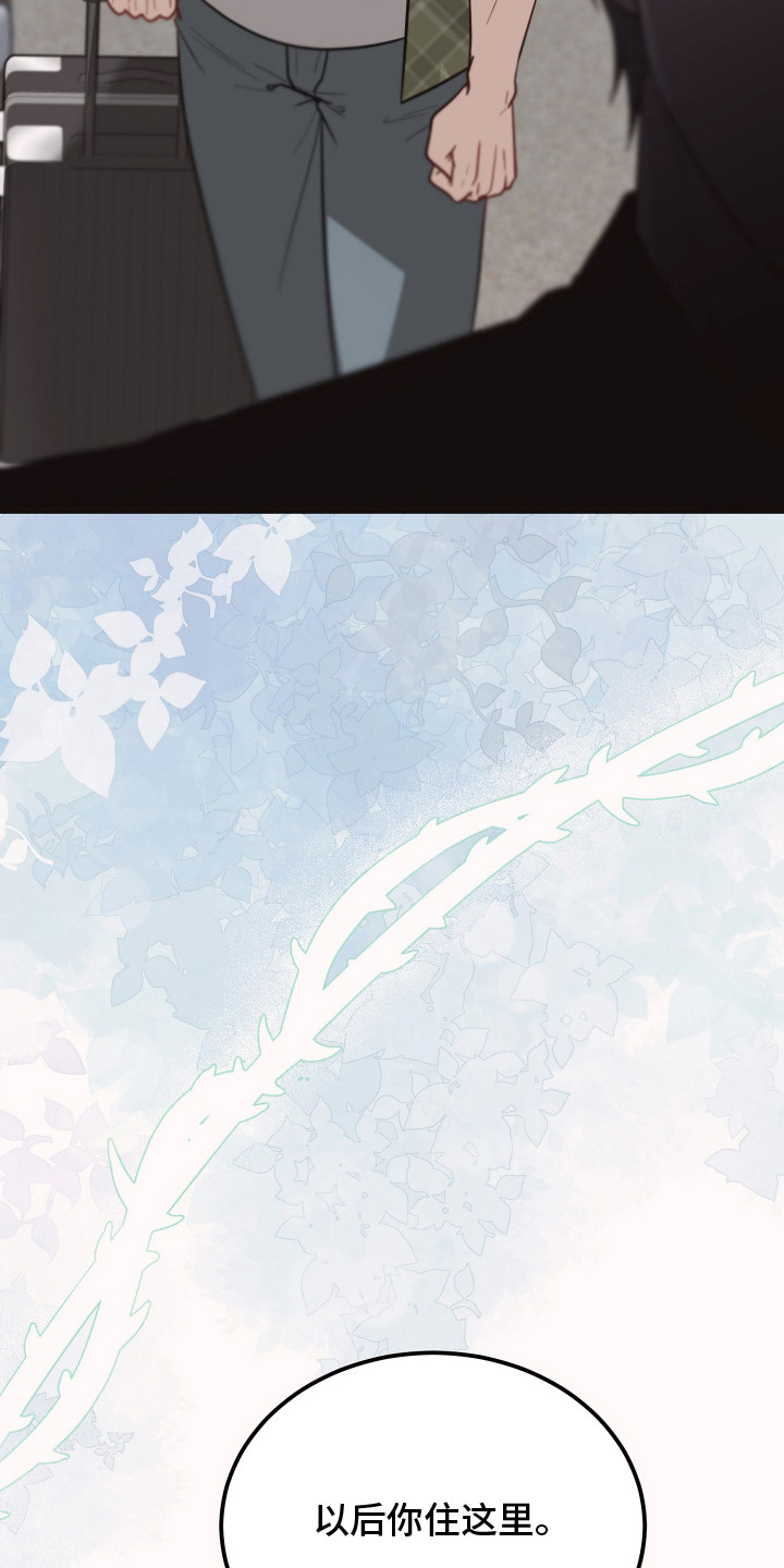 新鲜黄成华漫画,第3章：怀疑3图