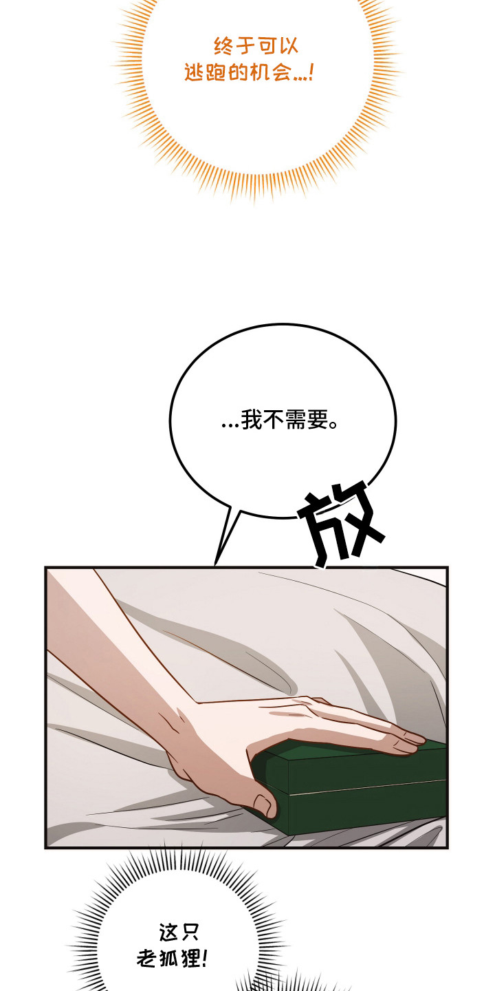 新鲜黄精收购价格漫画,第15章：礼物4图