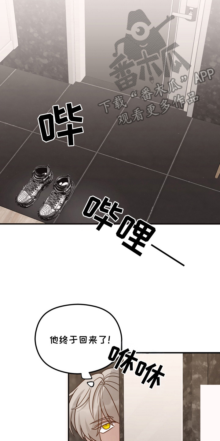 新鲜黄鸡油切丁的标准尺寸漫画,第14章：以退为进3图